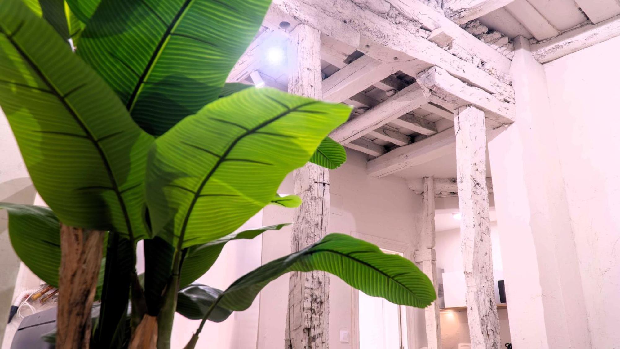 Apartamentos Carolina By Gaiarooms ليون المظهر الخارجي الصورة